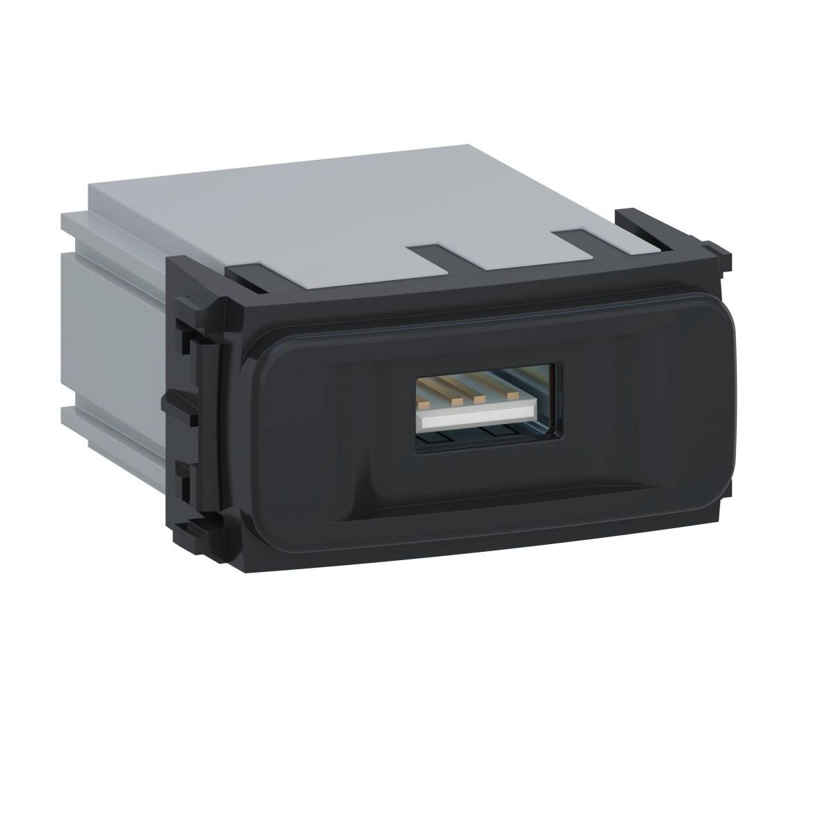 Weg Composé Módulo Carregador USB Preto